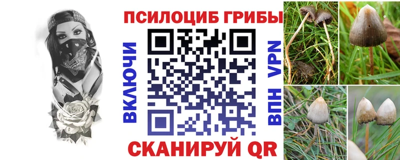 продажа наркотиков  Мыски  Галлюциногенные грибы Psilocybe 